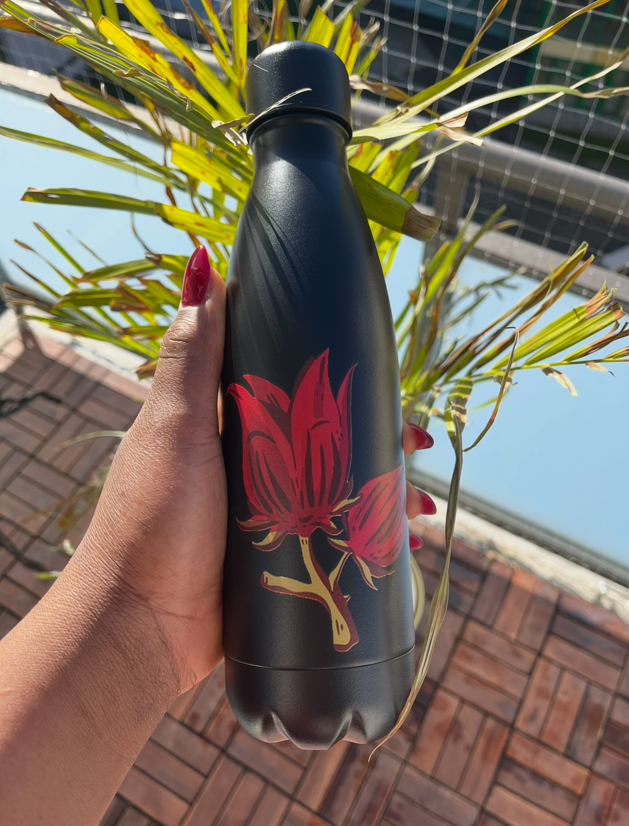 Hibiscus Black Bottle