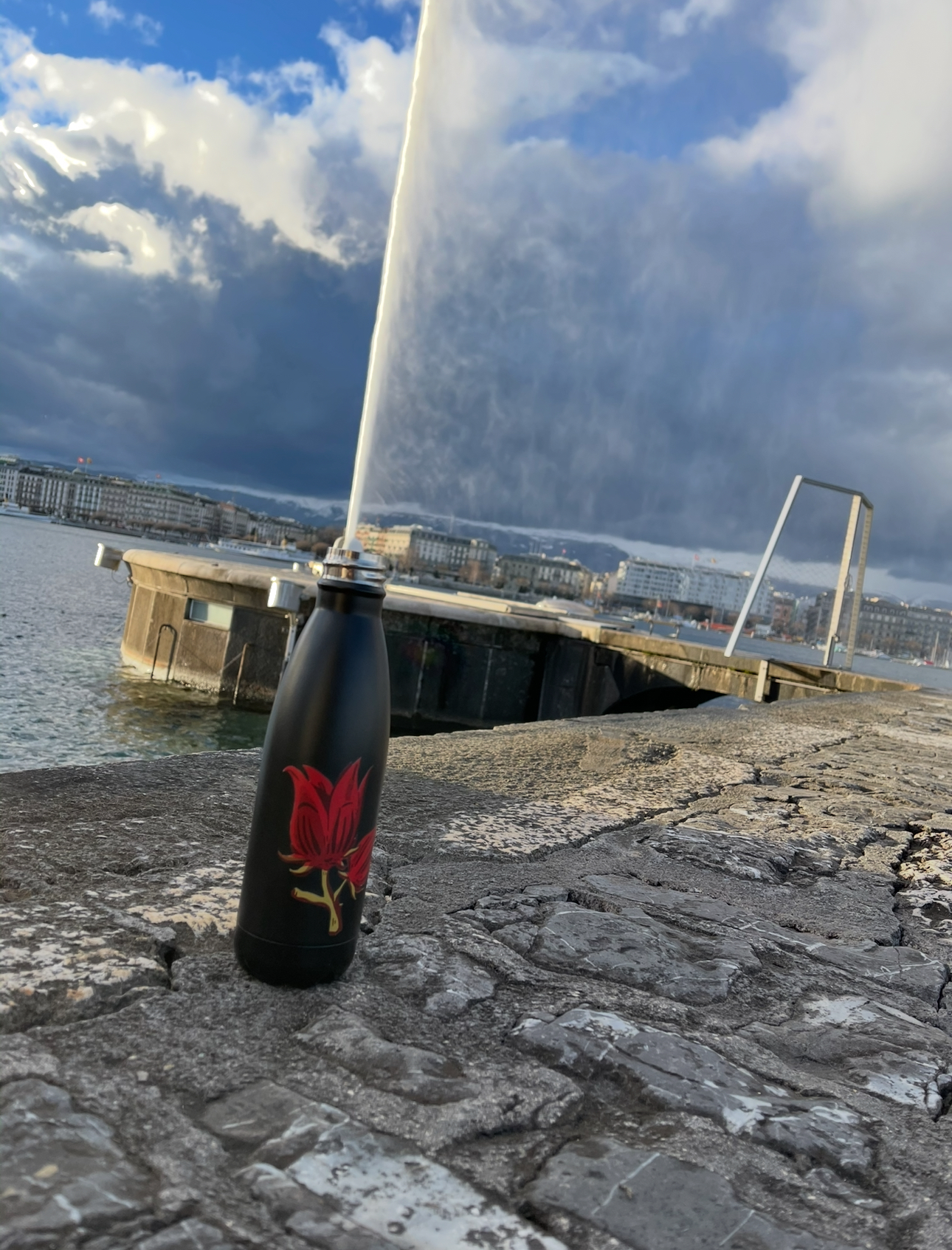 Hibiscus Black Bottle